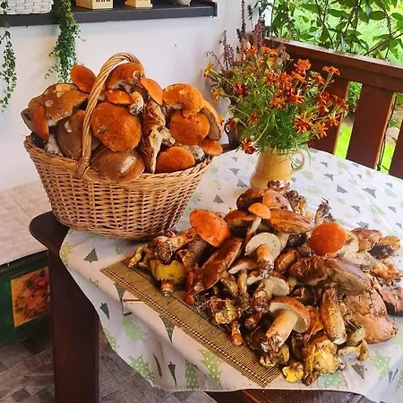 Tatil Evi Chaloupky U Matusku Varnsdorf