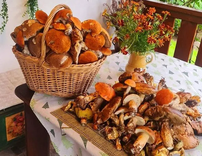 Дом отдыха Chaloupky U Matusku Варнсдорф